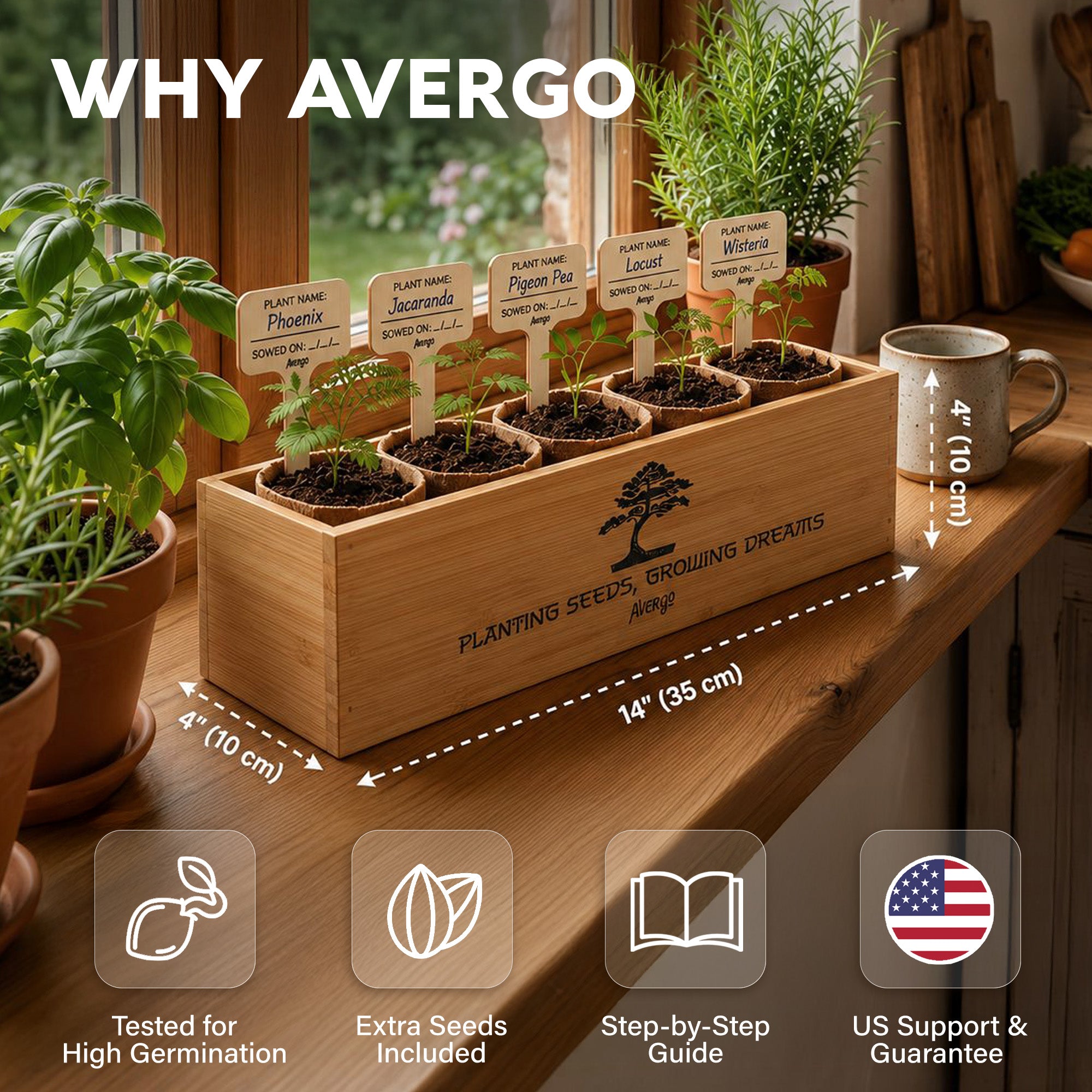 NORU Bonsai Growing Kit