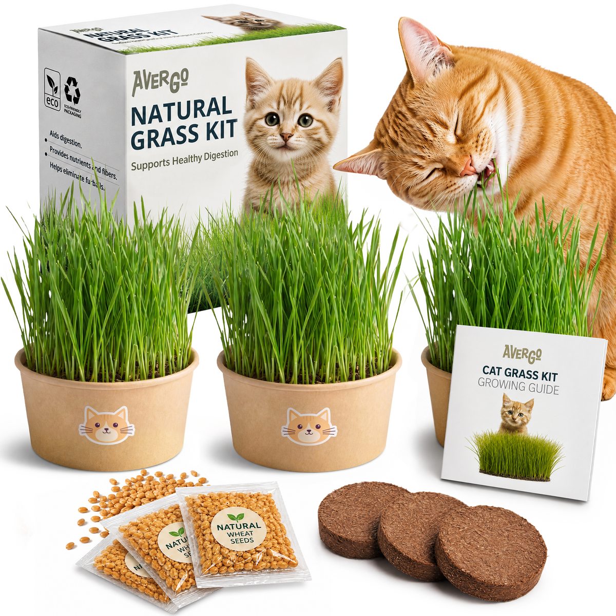 Cat Grass Kit for Indoor Cats – x3 Seed Packets | Cat Grass Seeds with Recyclable Planter & Coconut Coir Expanding Soil Discs – Wheatgrass Grass