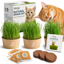 Load image into Gallery viewer, Cat Grass Kit for Indoor Cats – x3 Seed Packets | Cat Grass Seeds with Recyclable Planter &amp; Coconut Coir Expanding Soil Discs – Wheatgrass Grass
