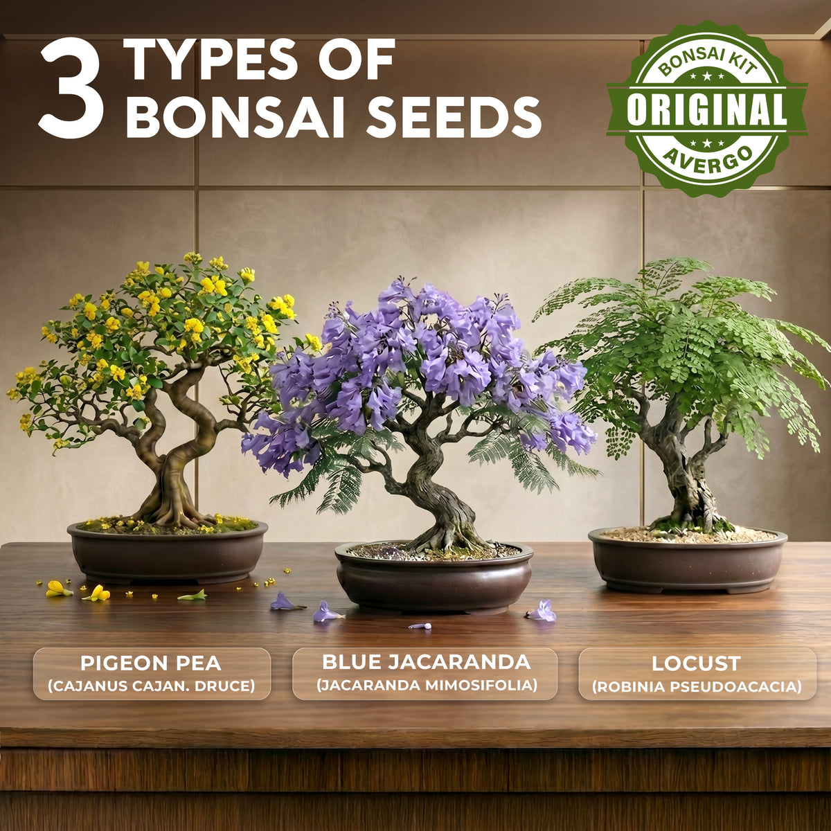 Bonsai Tree Kit Classic - Growing 3 Unique Japanese Bonzai Trees | Complete Indoor Bonsai Starter Kits for Growing Trees – Plant Lovers Gifts for Women & Men