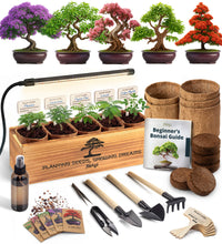 Load image into Gallery viewer, Bonsai Tree Kit Deluxe + Growing Light - 5X Unique Japanese Bonzai Trees | Complete Indoor Bonsai Starter Kits for Growing Trees – DIY Gardening Gifts for Mother, Women &amp; Men
