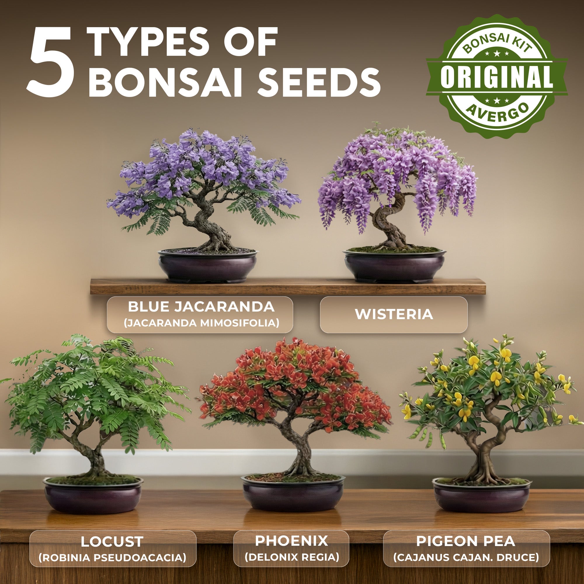 bonsai tree online Bonsai Tree Kit Classic - 5X Unique Japanese Bonzai Trees