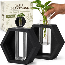 Load image into Gallery viewer, Wall Plant Decor (2-Pack), Black Wood Indoor Wall Planter | Propagation Wall Hanging with Removable Glass Vase for Cuttings, Fresh Herbs, Flowers and Dried Florals
