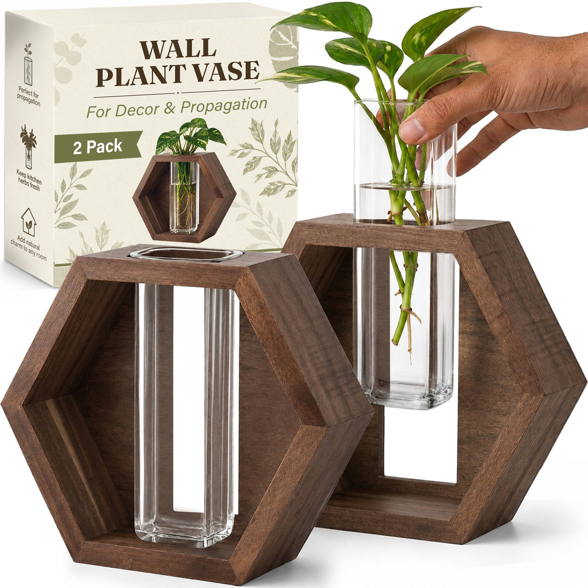 Wall Plant Decor (2-Pack), Acacia Wood Indoor Wall Planter | Propagation Wall Hanging with Removable Glass Vase for Cuttings, Fresh Herbs, Flowers and Dried Florals