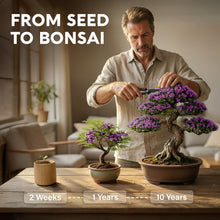 Load image into Gallery viewer, Bonsai Starter Kit – Growing Jacaranda Bonzai Tree | Complete Indoor Tree Kit for Growing Plants with Tools &amp; Planter – Gardening Gifts for Mother, Women &amp; Men
