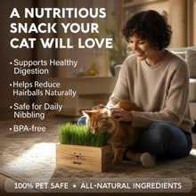 Load image into Gallery viewer, Cat Grass Kit for Indoor Cats – x4 Seed Packets | Cat Grass Seeds with Wooden Planter, Soil &amp; Mini Gardening Tools for Nipping – Pet Wheatgrass Grass
