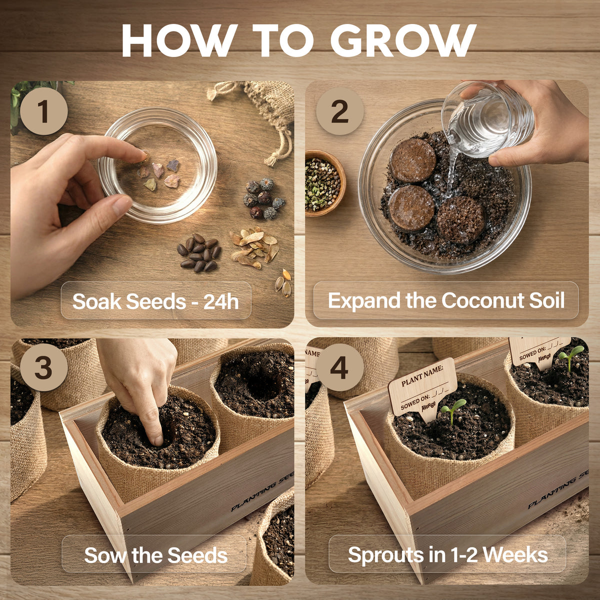 Bonsai Tree Kit Classic - Growing 3 Unique Japanese Bonzai Trees | Complete Indoor Bonsai Starter Kits for Growing Trees – Plant Lovers Gifts for Women & Men