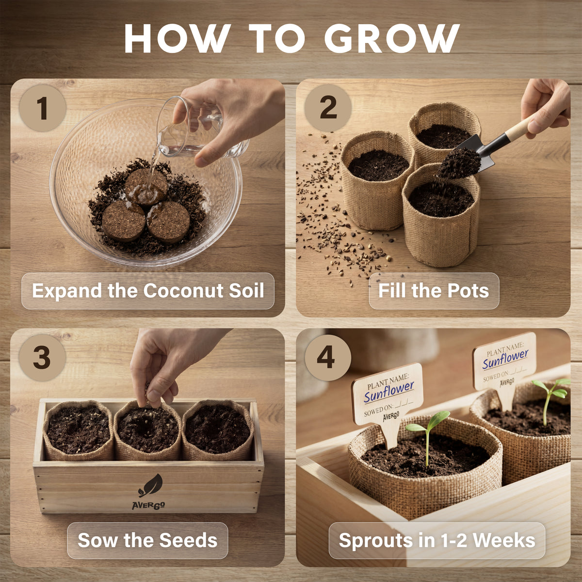 AVERGO Sunflower Seeds Growing Kit | Complete Seed and Plant Indoor & Outdoor Kit with Sunflower Seeds for Planting – Ideal for Planting Sun Flowers at Home