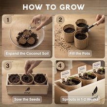 Load image into Gallery viewer, AVERGO Sunflower, Marigold &amp; Zinnia Flower Seeds Growing Kit | Complete Indoor &amp; Outdoor Kit with Seeds for Planting, Planters, Soil, Tools, Instructions
