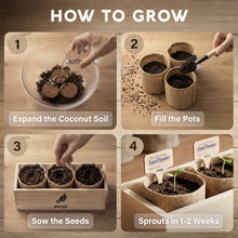 Load image into Gallery viewer, AVERGO Sunflower Seeds Growing Kit | Complete Seed and Plant Indoor &amp; Outdoor Kit with Sunflower Seeds for Planting – Ideal for Planting Sun Flowers at Home
