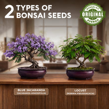 Load image into Gallery viewer, Bonsai Starter Kit – 2X Bonsai Tree | Complete Indoor Starter Kit for Growing Bonsai Plants with Tools &amp; Planters – Gardening Gifts for Women &amp; Men

