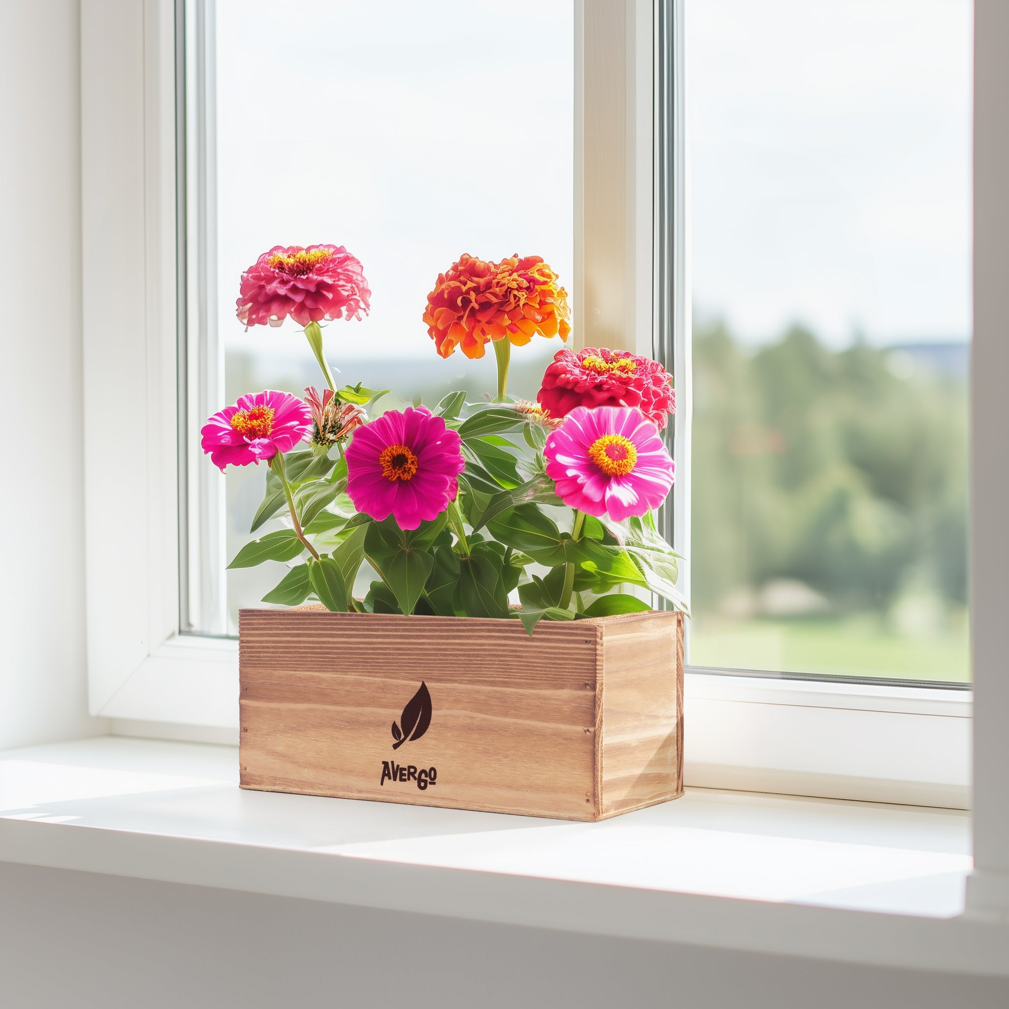 Flower Growing Kit - 3x Zinnia – Avergostore