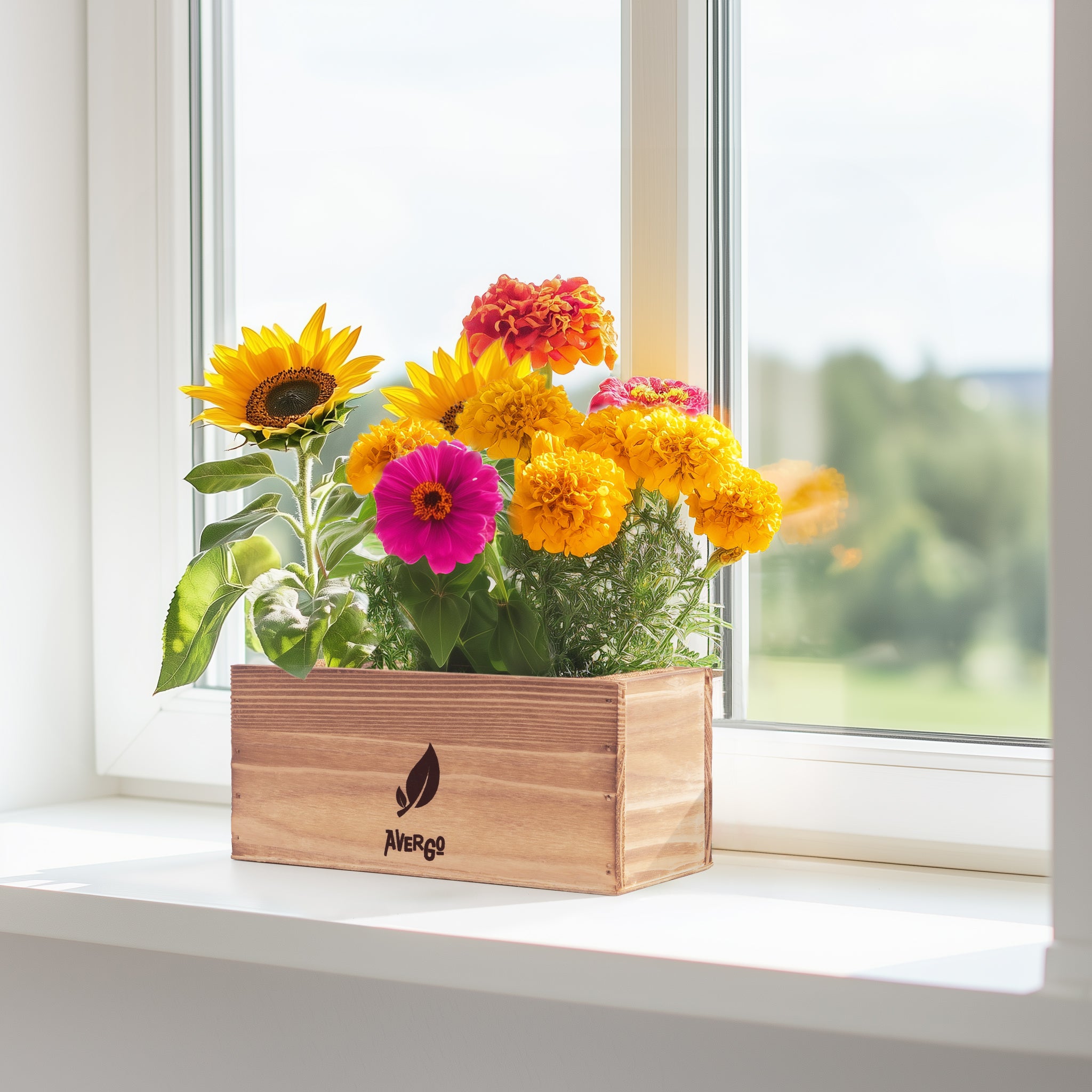 ☘️aiiKEN72*Garden☘️AG202507 Akatsuka Orchid Gardens Mature Orchid Fertilizer