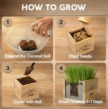 Load image into Gallery viewer, Cat Grass Kit for Indoor Cats – x2 Seed Packets | Cat Grass Seeds with Wooden Planter &amp; Soil for Nipping &amp; Nibbling – Pet Wheatgrass Grass
