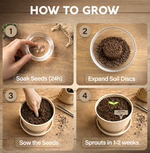 Load image into Gallery viewer, Bonsai Starter Kit – Growing Jacaranda Bonzai Tree | Complete Indoor Tree Kit for Growing Plants with Tools &amp; Planter – Gardening Gifts for Mother, Women &amp; Men
