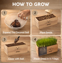 Load image into Gallery viewer, Cat Grass Kit for Indoor Cats – x4 Seed Packets | Cat Grass Seeds with Wooden Planter, Soil &amp; Mini Gardening Tools for Nipping – Pet Wheatgrass Grass
