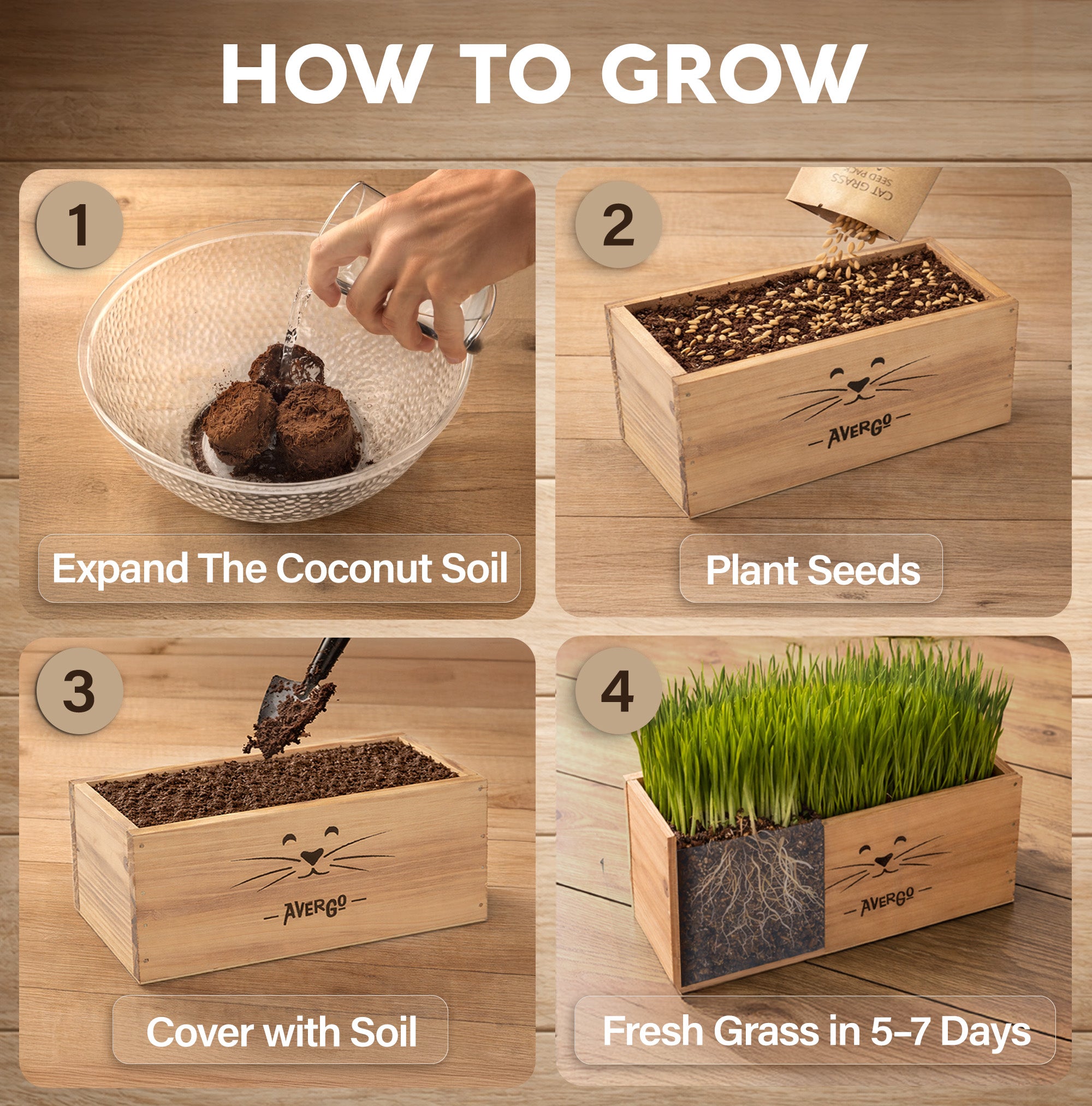indoor cat grass planter Cat Grass Kit for Indoor Cats – x4 Seed Packets