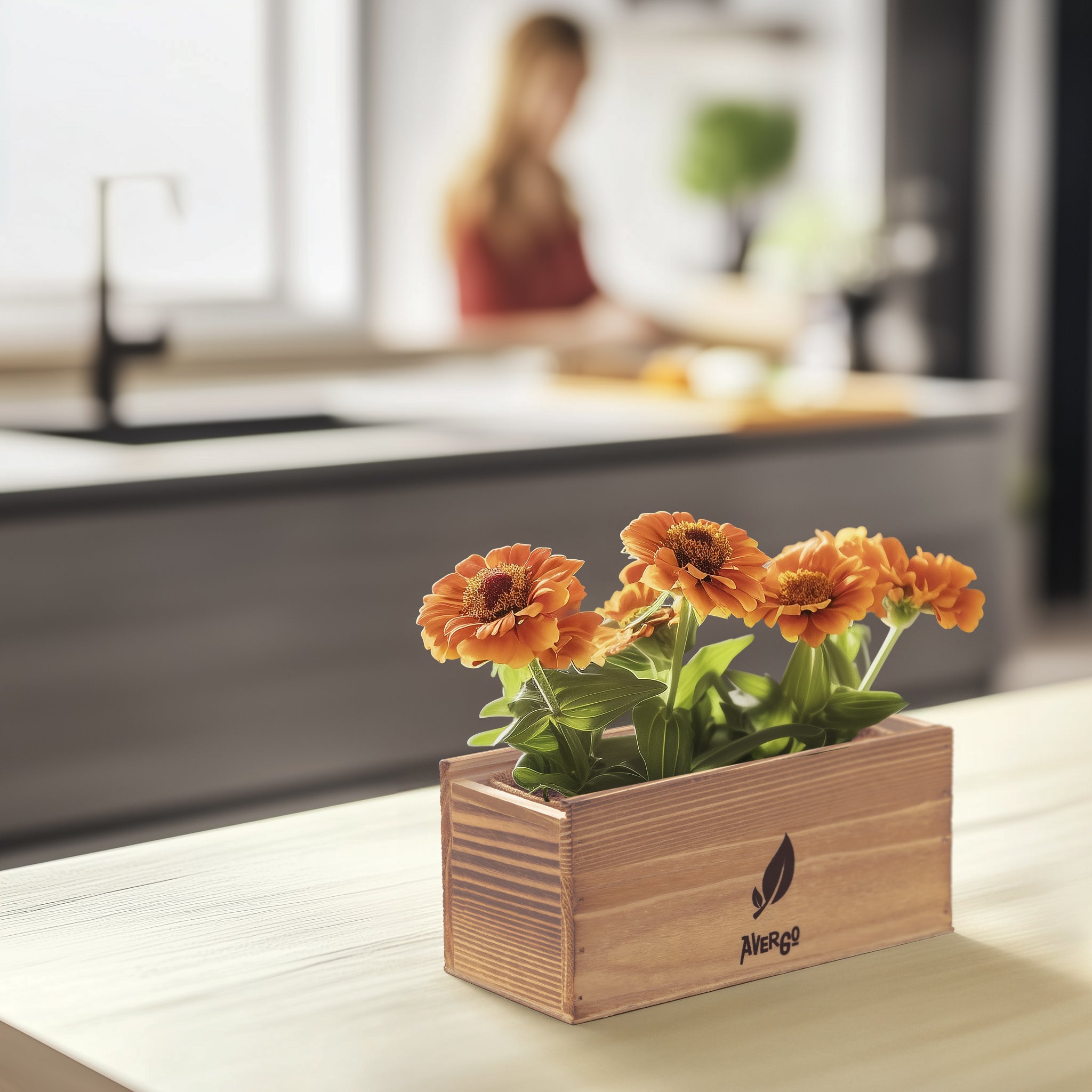 Flower Growing Kit - 3x Zinnia – Avergostore