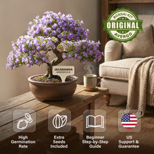Load image into Gallery viewer, Bonsai Starter Kit – Growing Jacaranda Bonzai Tree | Complete Indoor Tree Kit for Growing Plants with Tools &amp; Planter – Gardening Gifts for Mother, Women &amp; Men

