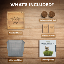 Load image into Gallery viewer, Cat Grass Kit for Indoor Cats – x2 Seed Packets | Cat Grass Seeds with Wooden Planter &amp; Soil for Nipping &amp; Nibbling – Pet Wheatgrass Grass
