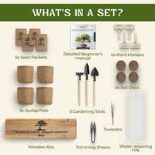 Load image into Gallery viewer, Avergo Bonsai Tree Kit – 4X Unique Japanese Bonzai Trees | Complete Indoor Starter Kit for Growing Bonsai Plants with Tools &amp; Planters – Gardening Gifts for Women &amp; Men

