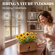 Load image into Gallery viewer, AVERGO Sunflower Seeds Growing Kit – Ideal Gift for Mother's Day | Complete Seed and Plant Indoor &amp; Outdoor Kit with Sunflower Seeds for Planting – Ideal for Planting Sun Flowers at Home

