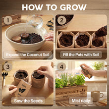Load image into Gallery viewer, Indoor Herb Garden Kit, Herb Growing Kit for Kitchen and Windowsill | Herb Starter Kit to Grow Herbs Indoors with Basil, Chives, Dill, Cilantro &amp; Parsley Seeds, Gifts for Mom &amp; Plant Lovers

