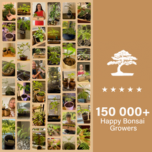 Load image into Gallery viewer, Avergo Bonsai Starter Kit – Growing Jacaranda Bonzai Tree | Complete Indoor Tree Kit for Growing Plants with Tools &amp; Planter – Gardening Gifts for Mother, Women &amp; Men
