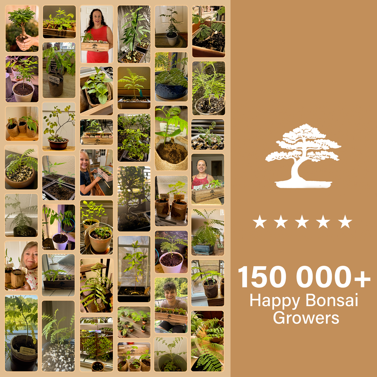 Bonsai Tree Kit Classic - Growing 3 Unique Japanese Bonzai Trees | Complete Indoor Bonsai Starter Kits for Growing Trees – Plant Lovers Gifts for Women & Men