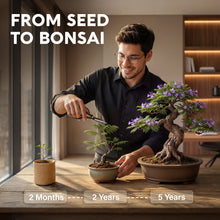Load image into Gallery viewer, Avergo Bonsai Tree Kit – 4X Unique Japanese Bonzai Trees | Complete Indoor Starter Kit for Growing Bonsai Plants with Tools &amp; Planters – Gardening Gifts for Women &amp; Men
