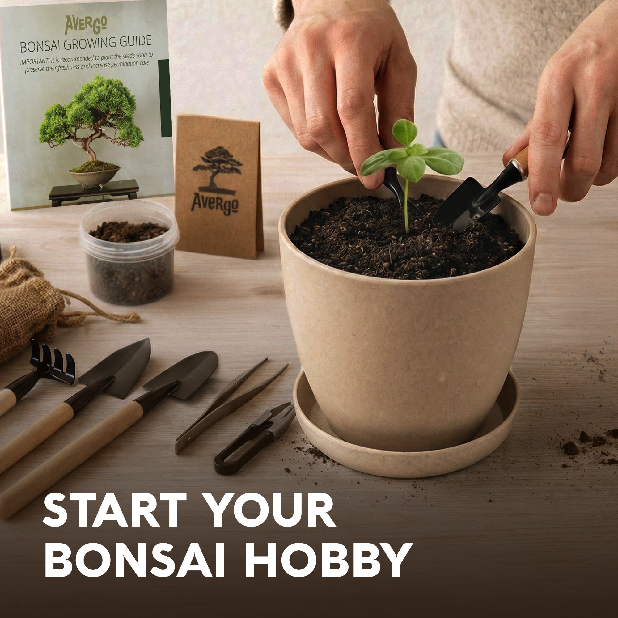 avergo bonsai tree kit instructions Avergo Bonsai Starter Kit – Growing Jacaranda Bonzai Tree