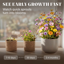 Load image into Gallery viewer, AVERGO Wildflower Seed Mix Growing Kit - Perennial Wild Flowers | Ideal Gift for Mother's Day - Also Includes Planters, Soil, Wooden Box, and Gardening Tools for Indoor Garden and Patio Planting
