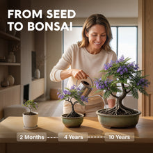 Load image into Gallery viewer, Bonsai Starter Kit – 2X Bonsai Tree | Complete Indoor Starter Kit for Growing Bonsai Plants with Tools &amp; Planters – Gardening Gifts for Women &amp; Men
