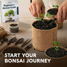 Load image into Gallery viewer, AVERGO Bonsai Tree Kit Deluxe - 5X Unique Japanese Bonzai Trees | Complete Indoor Bonsai Starter Kits for Growing Trees – DIY Gardening Gifts for Mother, Women &amp; Men
