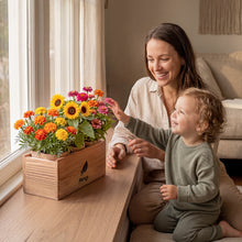 Load image into Gallery viewer, AVERGO Sunflower, Marigold &amp; Zinnia Flower Seeds Growing Kit | Complete Indoor &amp; Outdoor Kit with Seeds for Planting, Planters, Soil, Tools, Instructions
