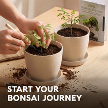 Load image into Gallery viewer, Bonsai Starter Kit – 2X Bonsai Tree | Complete Indoor Starter Kit for Growing Bonsai Plants with Tools &amp; Planters – Gardening Gifts for Women &amp; Men
