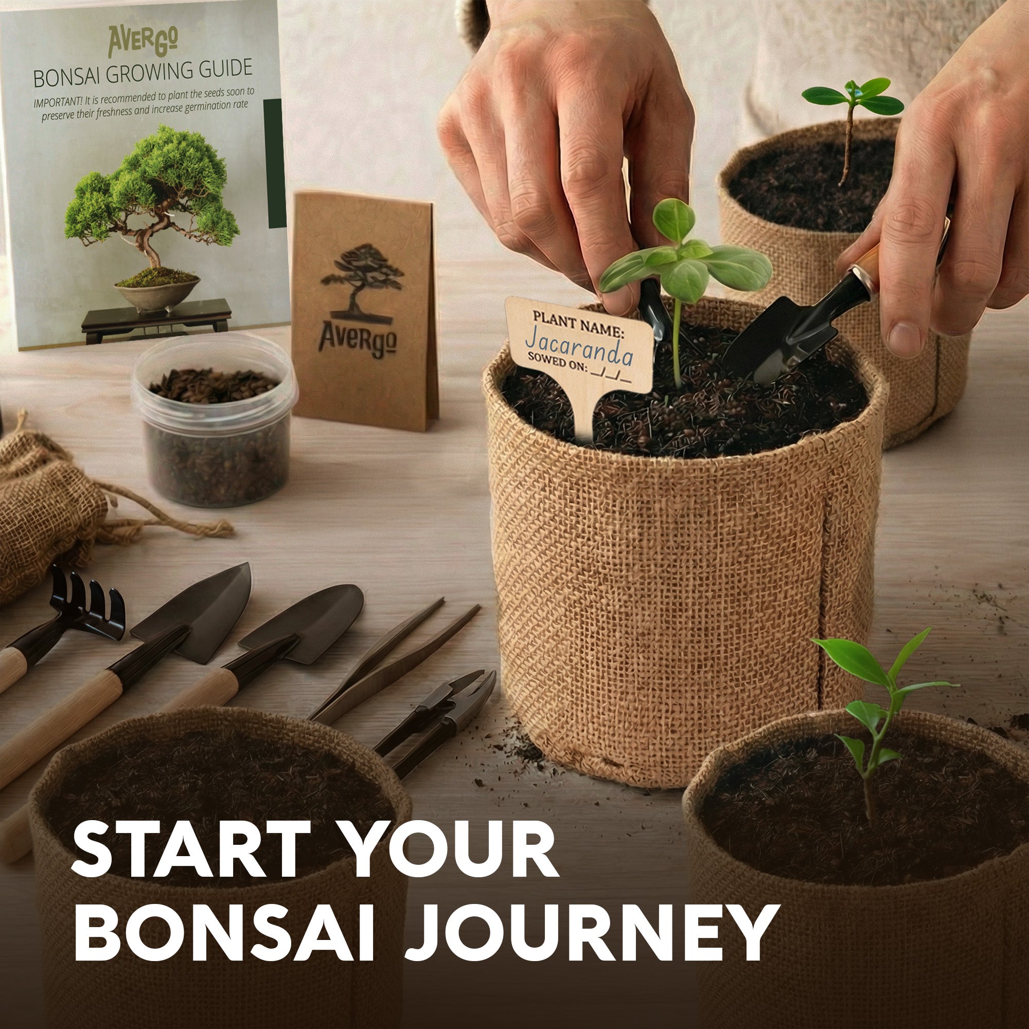 mothers day bonsai tree Bonsai Tree Kit Deluxe - 5X Unique Japanese Bonzai Trees