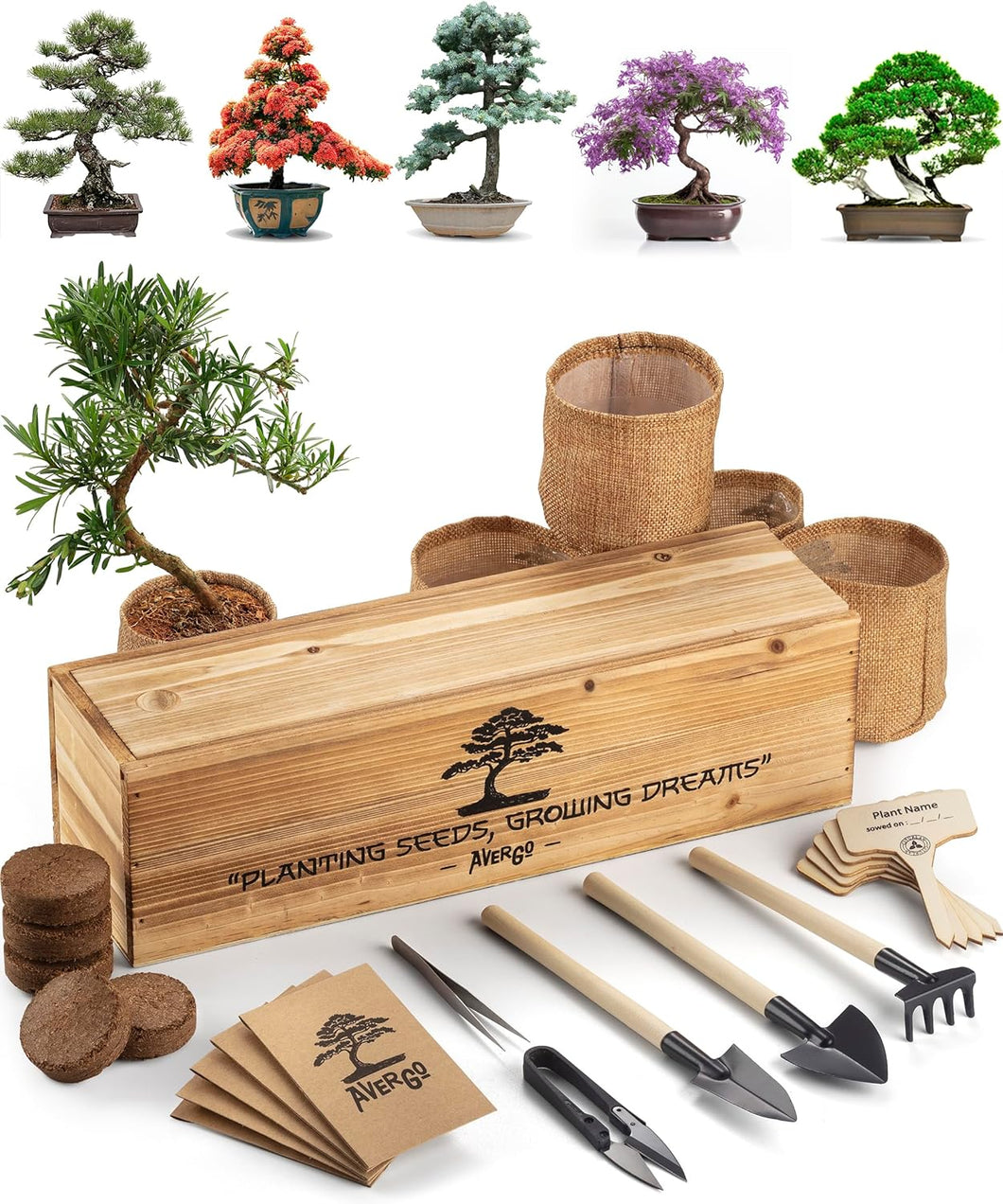 Bonsai Tree Starter Kits