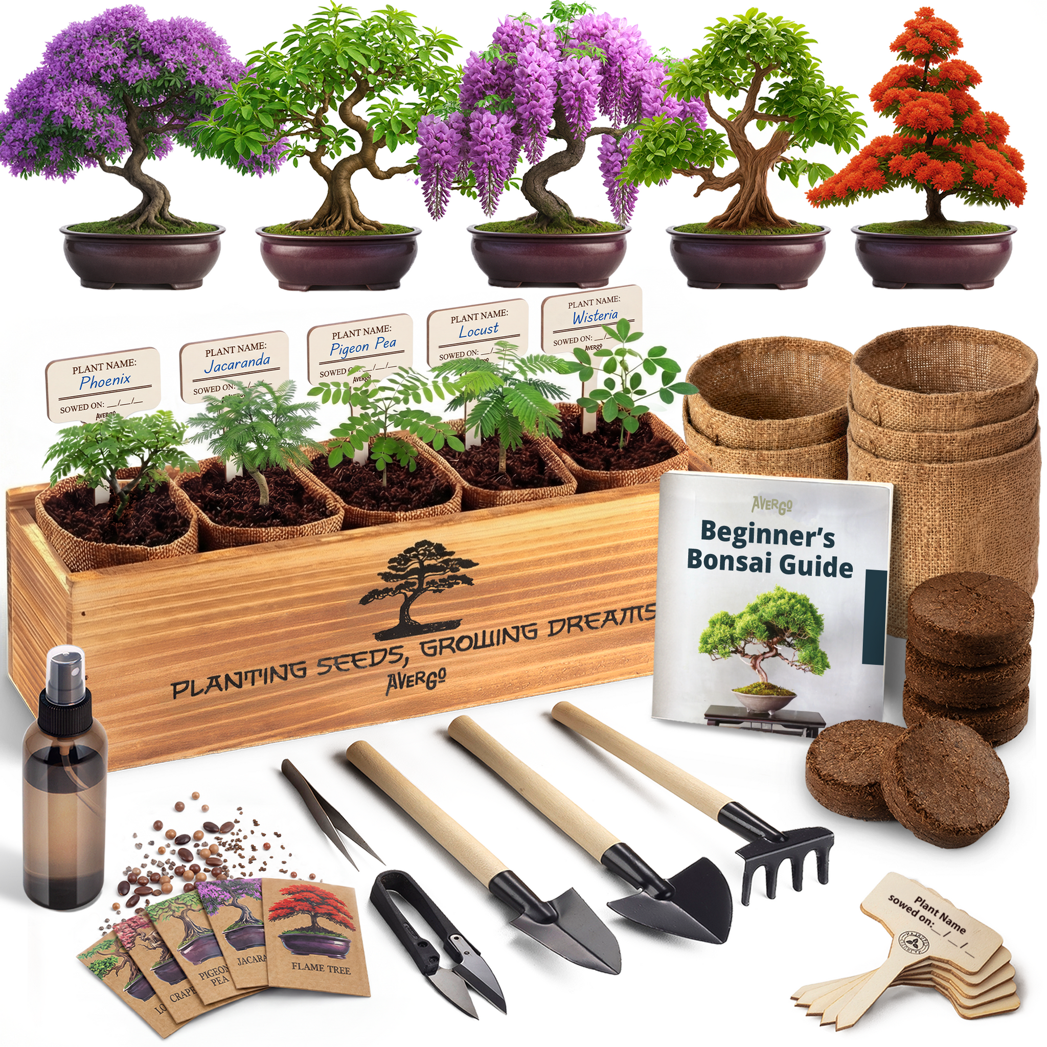 AVERGO Bonsai Tree Kit Deluxe - 5X Unique Japanese Bonzai Trees