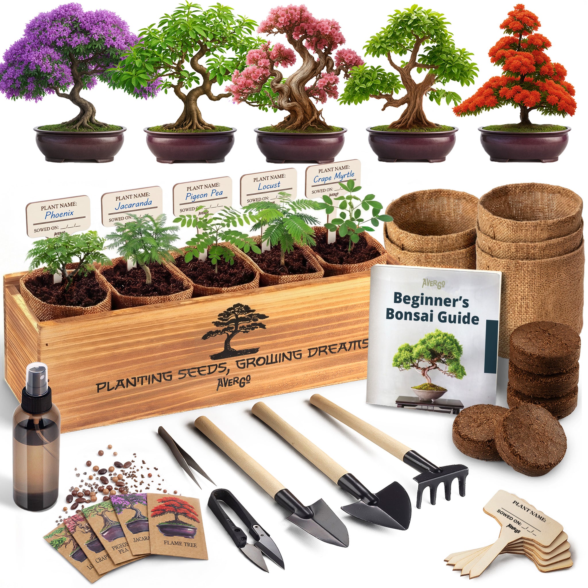 Bonsai Tree Kit Deluxe - 5X Unique Japanese Bonzai Trees