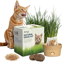 Load image into Gallery viewer, Cat Grass Kit for Indoor Cats – x3 Seed Packets | Cat Grass Seeds with Recyclable Planter &amp; Coconut Coir Expanding Soil Discs – Wheatgrass Grass

