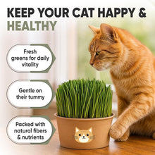 Load image into Gallery viewer, Cat Grass Kit for Indoor Cats – x3 Seed Packets | Cat Grass Seeds with Recyclable Planter &amp; Coconut Coir Expanding Soil Discs – Wheatgrass Grass
