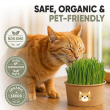 Load image into Gallery viewer, Cat Grass Kit for Indoor Cats – x3 Seed Packets | Cat Grass Seeds with Recyclable Planter &amp; Coconut Coir Expanding Soil Discs – Wheatgrass Grass
