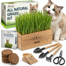 Load image into Gallery viewer, Cat Grass Kit for Indoor Cats – x4 Seed Packets | Cat Grass Seeds with Wooden Planter, Soil &amp; Mini Gardening Tools for Nipping &amp; Nibbling – Pet Wheatgrass Grass
