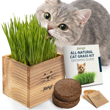 Load image into Gallery viewer, Cat Grass Kit for Indoor Cats – x2 Seed Packets | Cat Grass Seeds with Wooden Planter &amp; Soil for Nipping &amp; Nibbling – Pet Wheatgrass Grass
