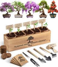 Load image into Gallery viewer, 5X Bonsai Tree Kit - Set 1
