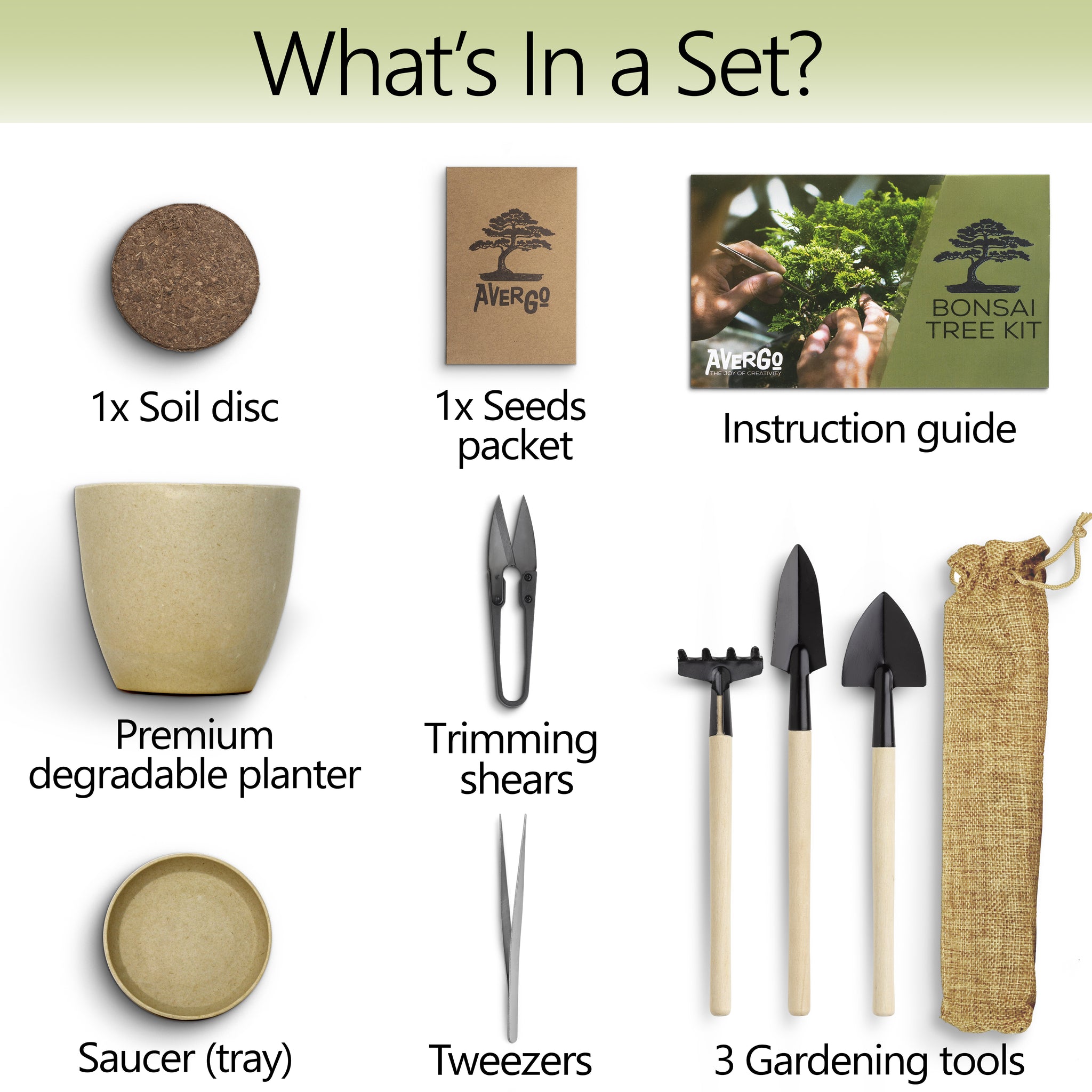 1x Bonsai Tree Kit - Jacaranda – Avergostore