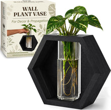Load image into Gallery viewer, Wall Plant Decor (1-Pack), Black Wood Indoor Wall Planter | Propagation Wall Hanging with Removable Glass Vase for Cuttings, Fresh Herbs, Flowers and Dried Florals
