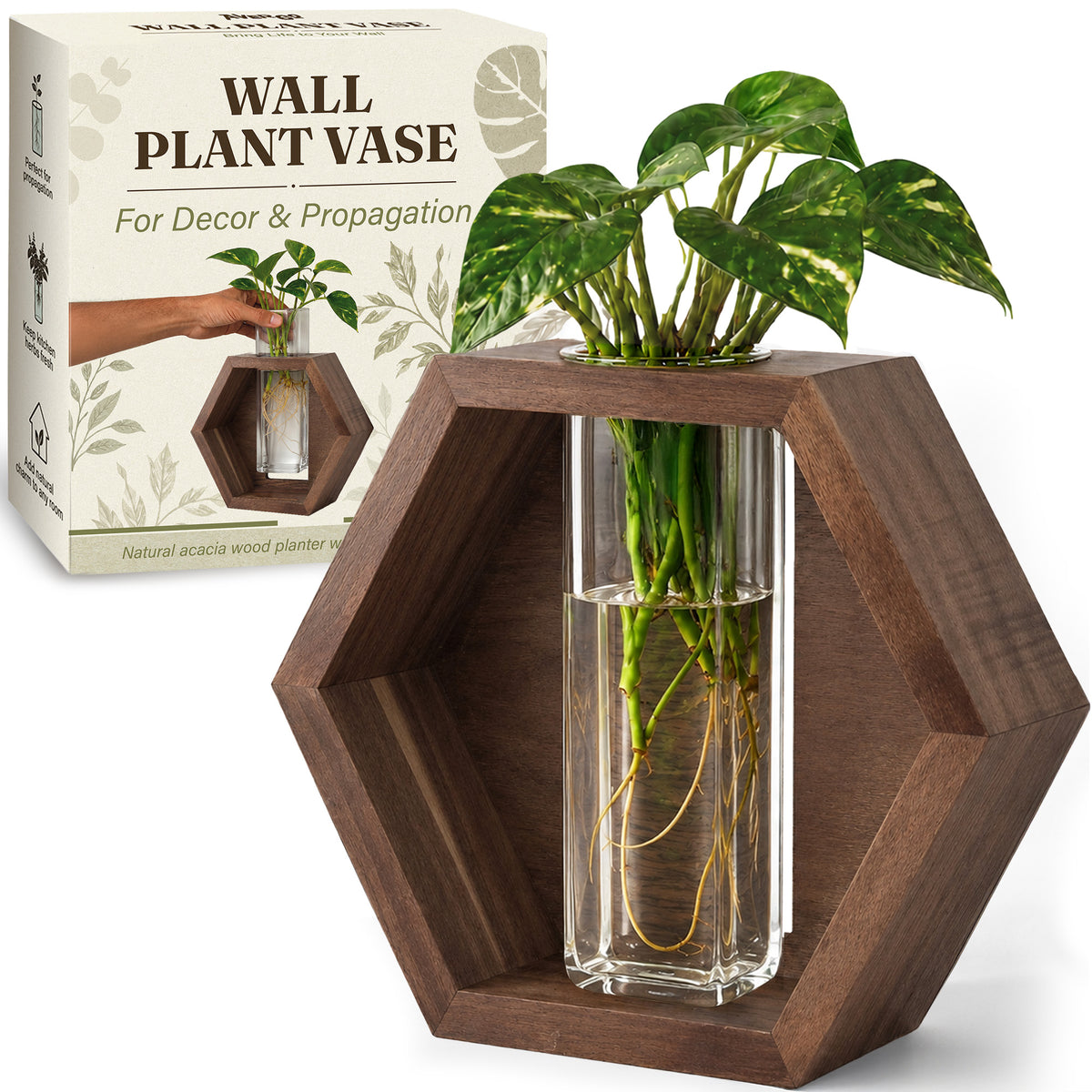 Avergo Wall Plant Vase in acacia wood with a removable glass vase, in its box