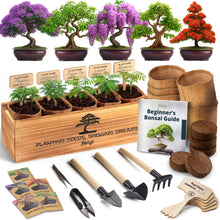 Load image into Gallery viewer, DIY Bonsai Tree Kit for Beginners – 5X Unique Japanese Bonzai Trees, Complete Indoor Bonsai Starter Kit for Growing Bonsai Plants w/Tools &amp; Planters – DIY Christmas Gardening Gifts for Mom
